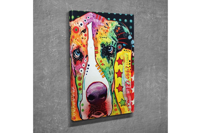 Canvasbilde Dekorativ - Flerfarget - Interiør - Maleri & posters - Lerretsbilder