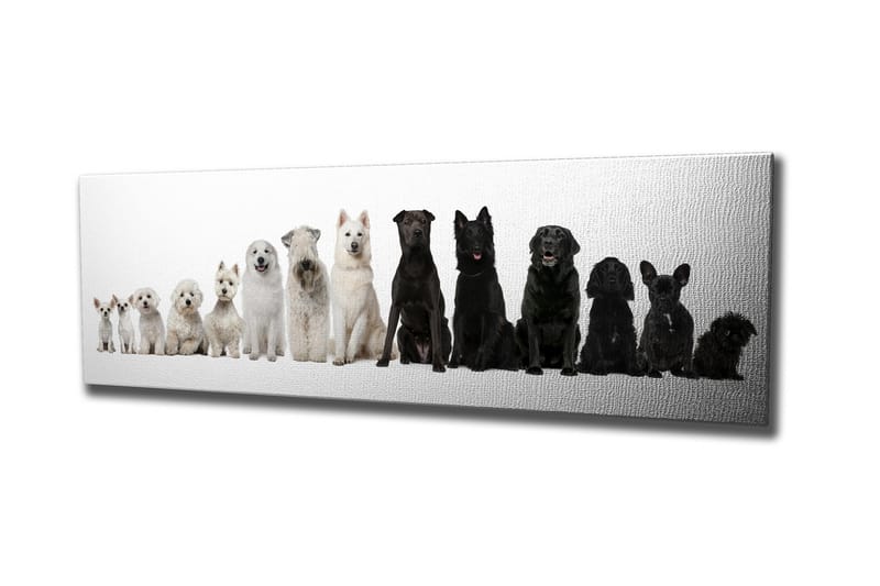 Canvasbilde Dekorativ - Flerfarget - Interiør - Maleri & posters - Lerretsbilder