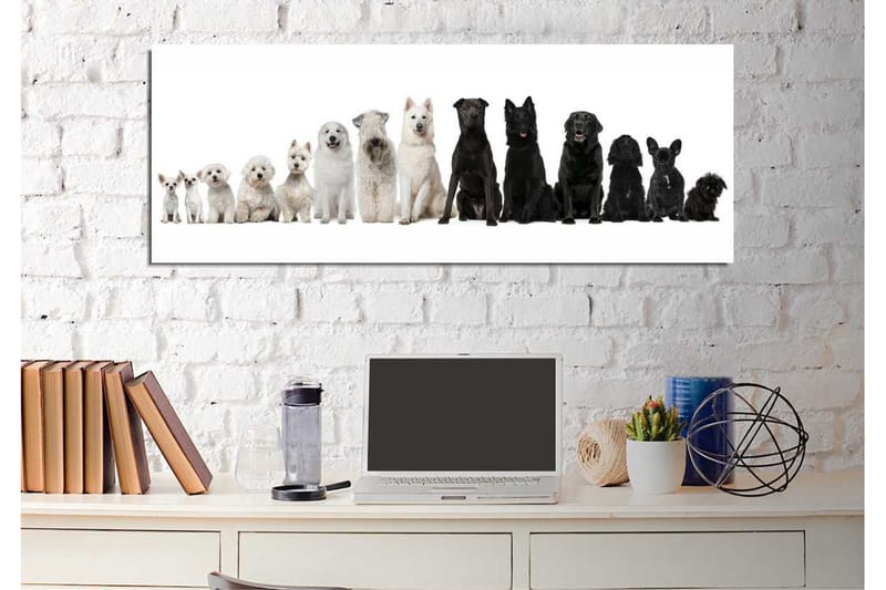 Canvasbilde Dekorativ - Flerfarget - Interiør - Maleri & posters - Lerretsbilder
