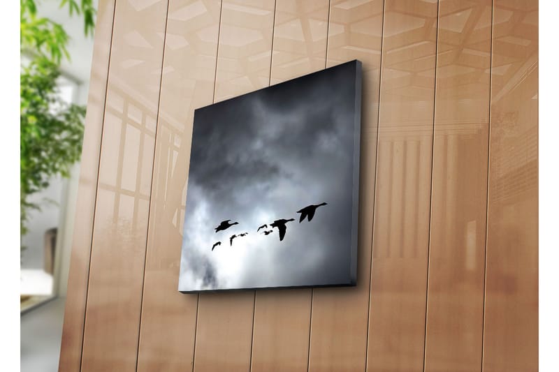 Canvasbilde Dekorativ - Flerfarget - Interiør - Maleri & posters - Lerretsbilder