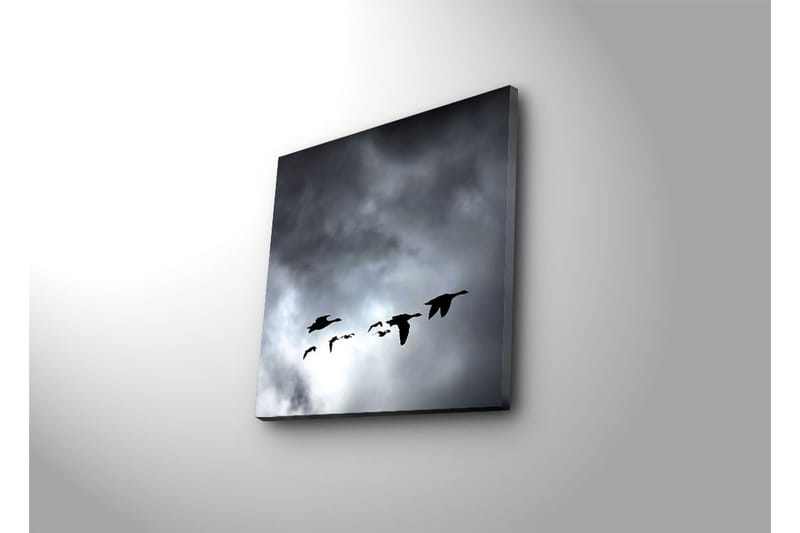 Canvasbilde Dekorativ - Flerfarget - Interiør - Maleri & posters - Lerretsbilder