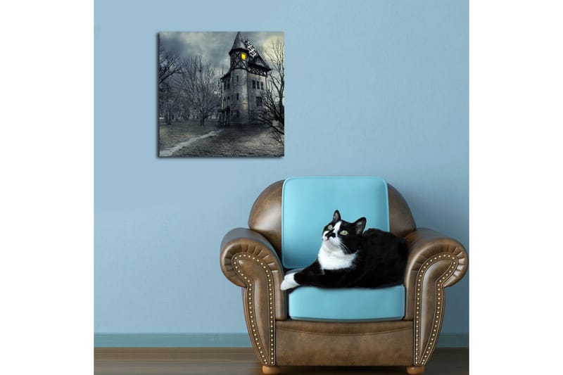 Canvasbilde Dekorativ - Flerfarget - Interiør - Maleri & posters - Lerretsbilder
