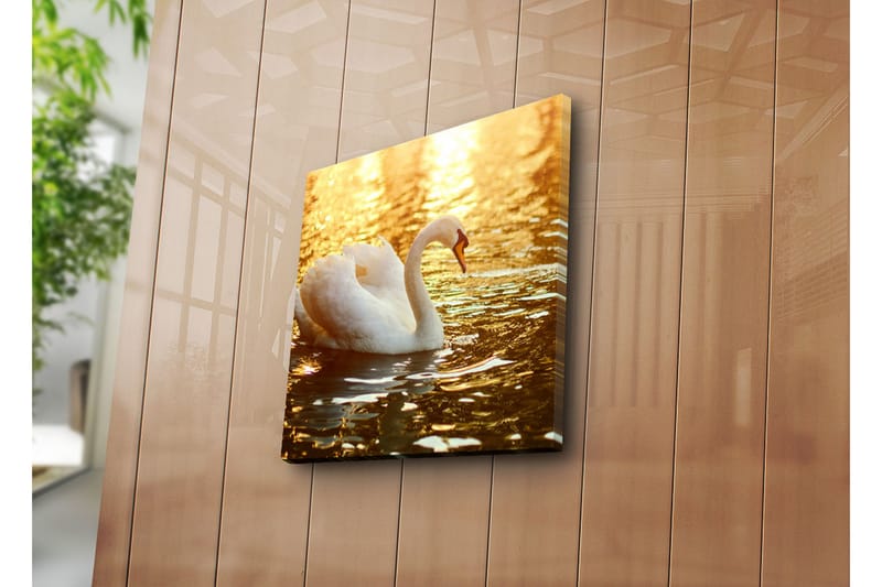 Canvasbilde Dekorativ - Flerfarget - Interiør - Maleri & posters - Lerretsbilder