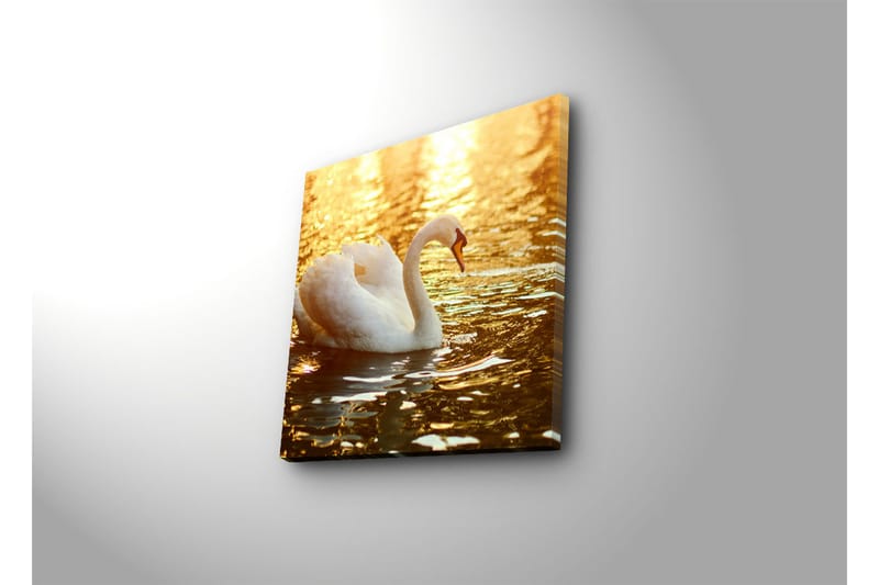 Canvasbilde Dekorativ - Flerfarget - Interiør - Maleri & posters - Lerretsbilder