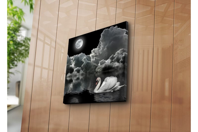Canvasbilde Dekorativ - Flerfarget - Interiør - Maleri & posters - Lerretsbilder