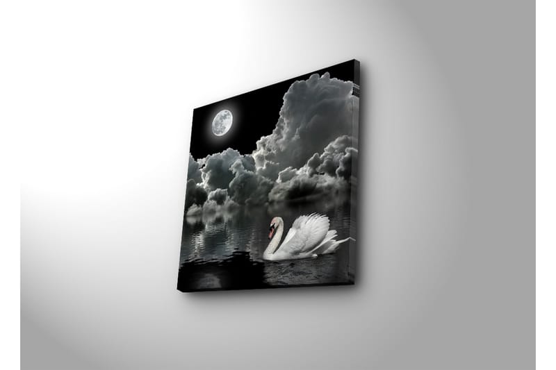 Canvasbilde Dekorativ - Flerfarget - Interiør - Maleri & posters - Lerretsbilder