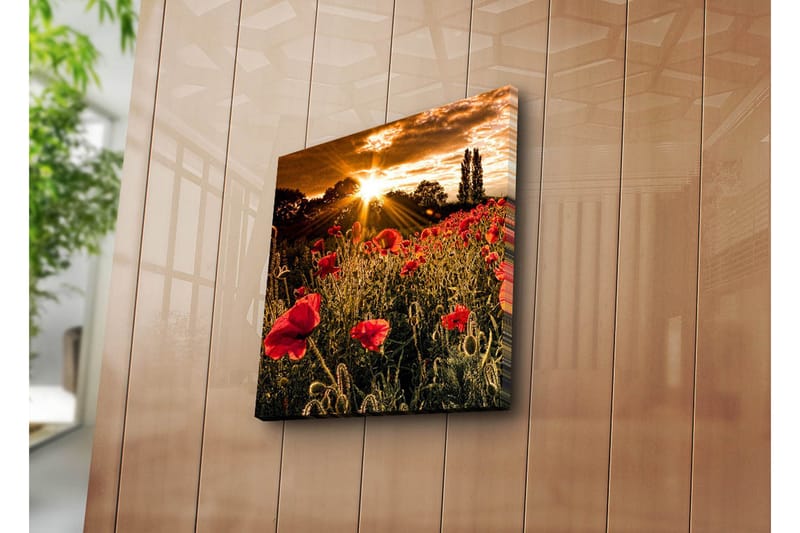 Canvasbilde Dekorativ - Flerfarget - Interiør - Maleri & posters - Lerretsbilder
