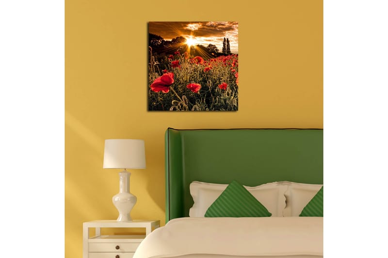 Canvasbilde Dekorativ - Flerfarget - Interiør - Maleri & posters - Lerretsbilder