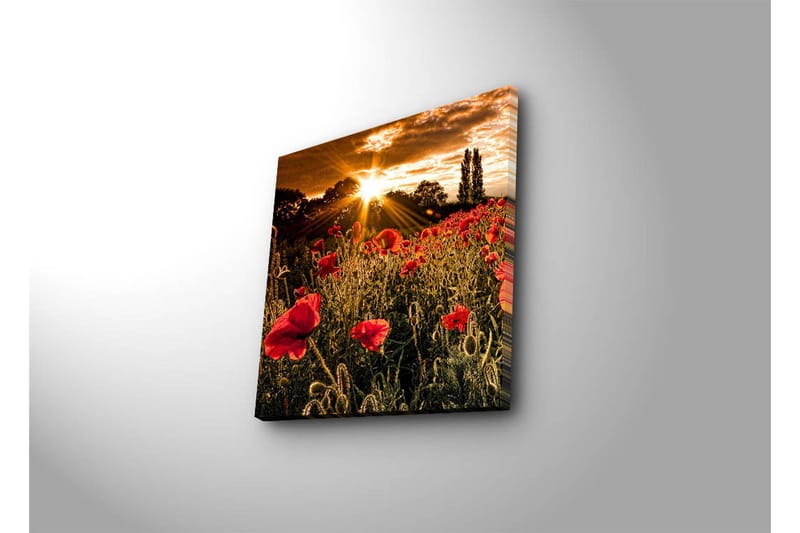 Canvasbilde Dekorativ - Flerfarget - Interiør - Maleri & posters - Lerretsbilder