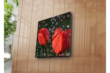 Canvasbilde Dekorativ - Flerfarget - Interiør - Maleri & posters - Lerretsbilder