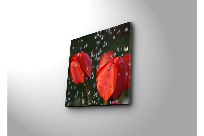 Canvasbilde Dekorativ - Flerfarget - Interiør - Maleri & posters - Lerretsbilder