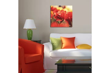 Canvasbilde Dekorativ - Flerfarget - Interiør - Maleri & posters - Lerretsbilder