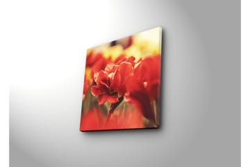 Canvasbilde Dekorativ - Flerfarget - Interiør - Maleri & posters - Lerretsbilder