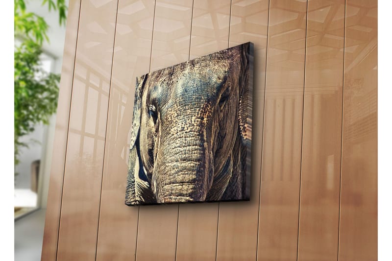Canvasbilde Dekorativ - Flerfarget - Interiør - Maleri & posters - Lerretsbilder