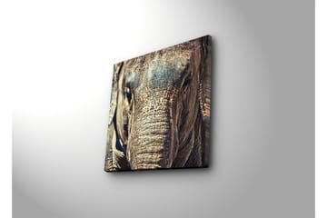 Canvasbilde Dekorativ - Flerfarget - Interiør - Maleri & posters - Lerretsbilder