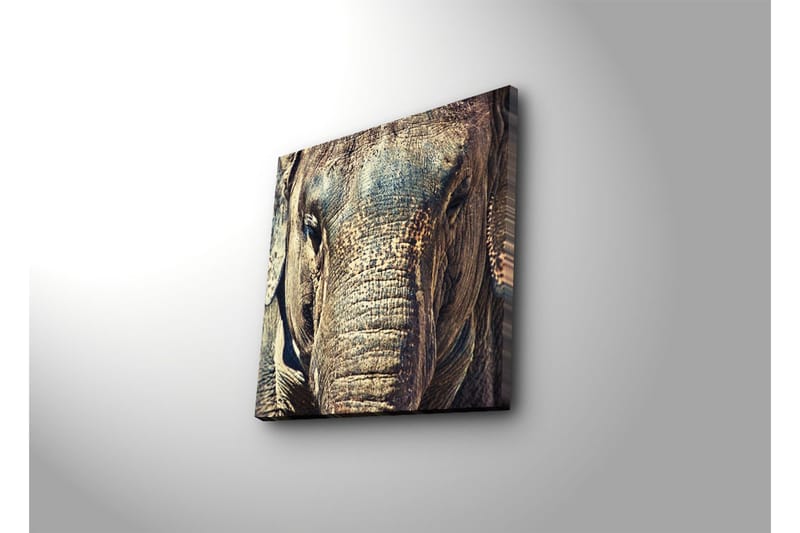 Canvasbilde Dekorativ - Flerfarget - Interiør - Maleri & posters - Lerretsbilder