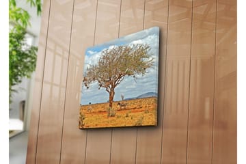 Canvasbilde Dekorativ - Flerfarget - Interiør - Maleri & posters - Lerretsbilder