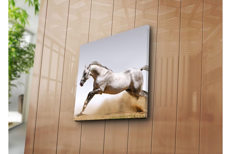 Canvasbilde Dekorativ - Flerfarget - Interiør - Maleri & posters - Lerretsbilder