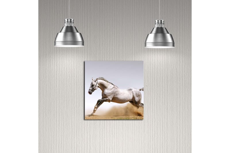 Canvasbilde Dekorativ - Flerfarget - Interiør - Maleri & posters - Lerretsbilder