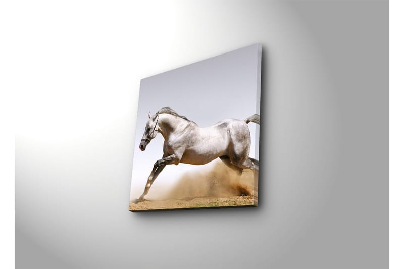 Canvasbilde Dekorativ - Flerfarget - Interiør - Maleri & posters - Lerretsbilder