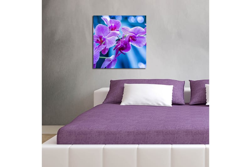 Canvasbilde Dekorativ - Flerfarget - Interiør - Maleri & posters - Lerretsbilder
