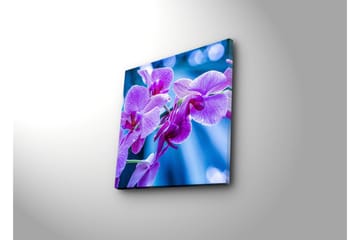 Canvasbilde Dekorativ - Flerfarget - Interiør - Maleri & posters - Lerretsbilder
