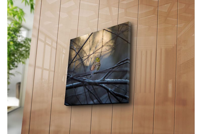 Canvasbilde Dekorativ - Flerfarget - Interiør - Maleri & posters - Lerretsbilder