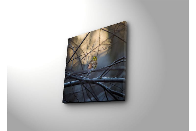 Canvasbilde Dekorativ - Flerfarget - Interiør - Maleri & posters - Lerretsbilder