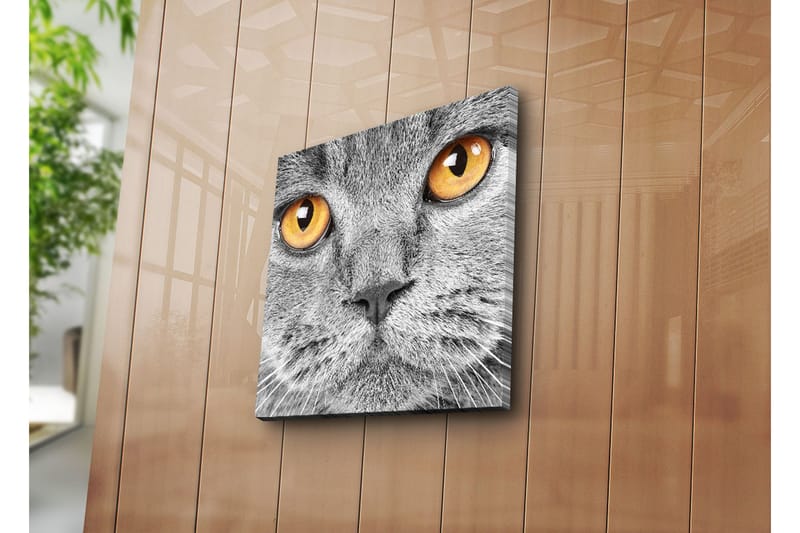 Canvasbilde Dekorativ - Flerfarget - Interiør - Maleri & posters - Lerretsbilder