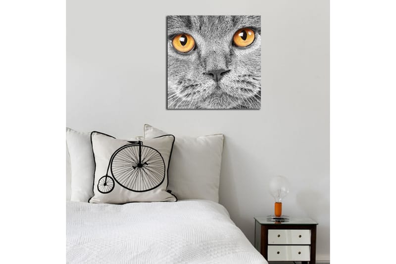 Canvasbilde Dekorativ - Flerfarget - Interiør - Maleri & posters - Lerretsbilder