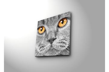 Canvasbilde Dekorativ - Flerfarget - Interiør - Maleri & posters - Lerretsbilder