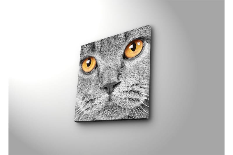 Canvasbilde Dekorativ - Flerfarget - Interiør - Maleri & posters - Lerretsbilder
