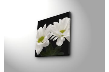 Canvasbilde Dekorativ - Flerfarget - Interiør - Maleri & posters - Lerretsbilder