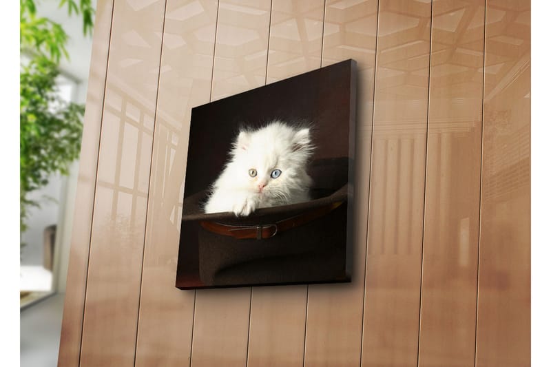 Canvasbilde Dekorativ - Flerfarget - Interiør - Maleri & posters - Lerretsbilder