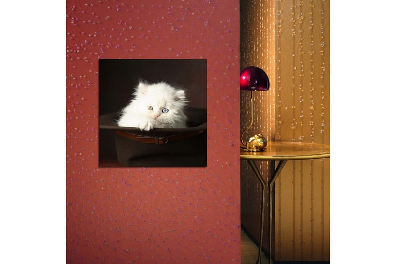 Canvasbilde Dekorativ - Flerfarget - Interiør - Maleri & posters - Lerretsbilder