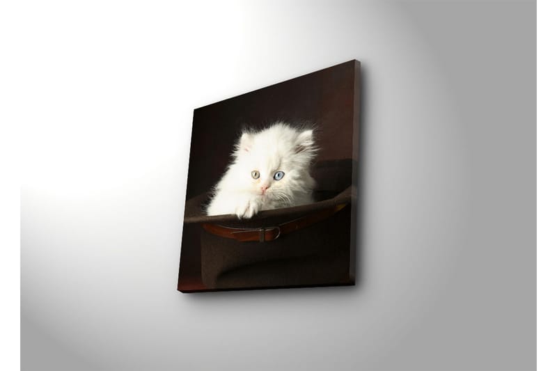 Canvasbilde Dekorativ - Flerfarget - Interiør - Maleri & posters - Lerretsbilder
