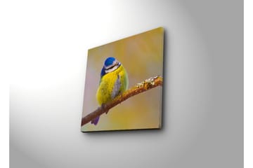 Canvasbilde Dekorativ - Flerfarget - Interiør - Maleri & posters - Lerretsbilder