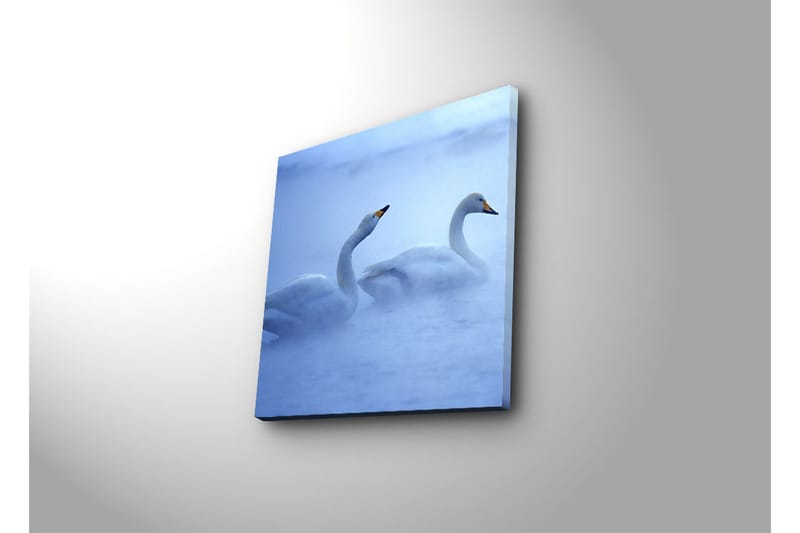 Canvasbilde Dekorativ - Flerfarget - Interiør - Maleri & posters - Lerretsbilder