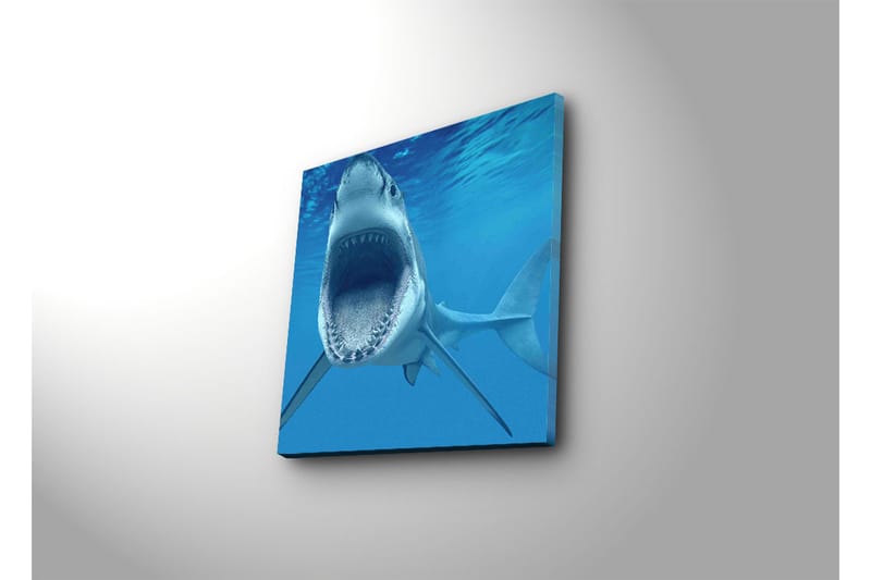 Canvasbilde Dekorativ - Flerfarget - Interiør - Maleri & posters - Lerretsbilder