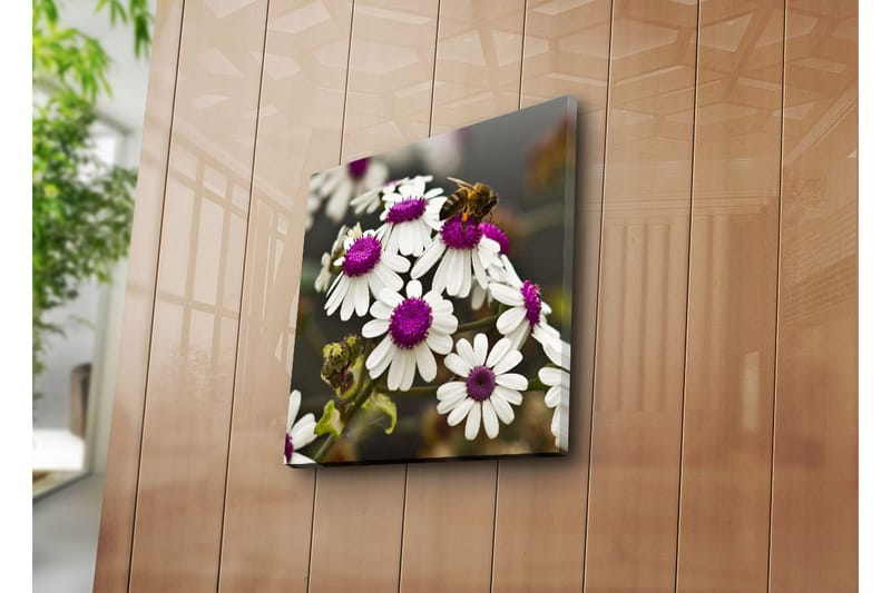 Canvasbilde Dekorativ - Flerfarget - Interiør - Maleri & posters - Lerretsbilder