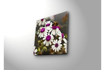 Canvasbilde Dekorativ - Flerfarget - Interiør - Maleri & posters - Lerretsbilder