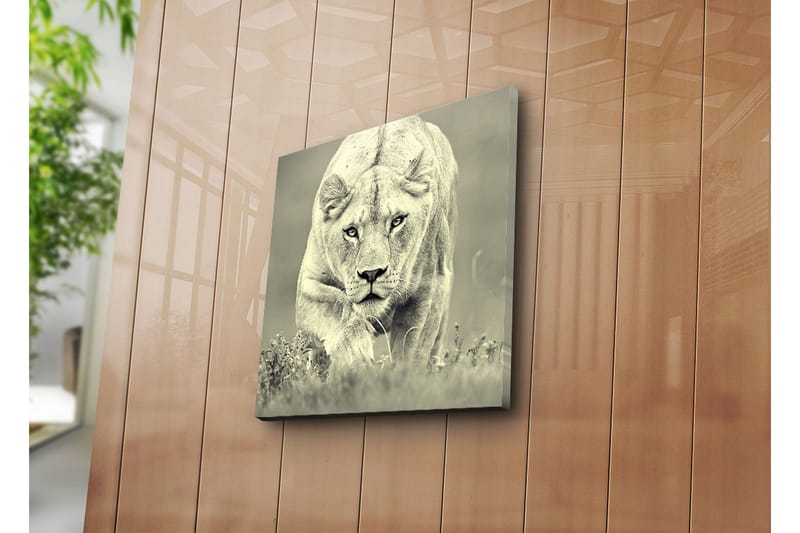 Canvasbilde Dekorativ - Flerfarget - Interiør - Maleri & posters - Lerretsbilder