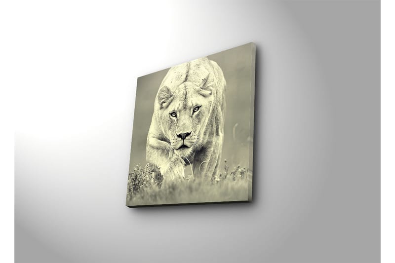 Canvasbilde Dekorativ - Flerfarget - Interiør - Maleri & posters - Lerretsbilder