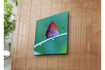 Canvasbilde Dekorativ - Flerfarget - Interiør - Maleri & posters - Lerretsbilder
