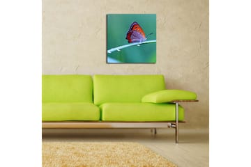 Canvasbilde Dekorativ - Flerfarget - Interiør - Maleri & posters - Lerretsbilder