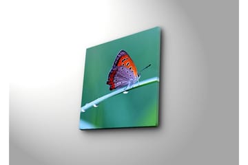 Canvasbilde Dekorativ - Flerfarget - Interiør - Maleri & posters - Lerretsbilder
