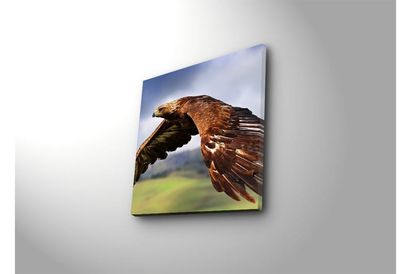 Canvasbilde Dekorativ - Flerfarget - Interiør - Maleri & posters - Lerretsbilder