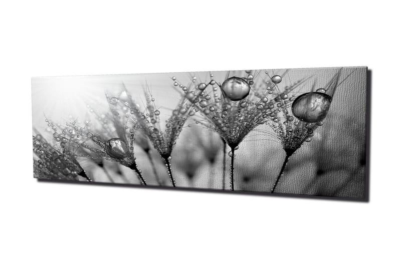 Canvasbilde Dekorativ - Flerfarget - Interiør - Maleri & posters - Lerretsbilder