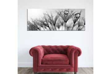Canvasbilde Dekorativ - Flerfarget - Interiør - Maleri & posters - Lerretsbilder