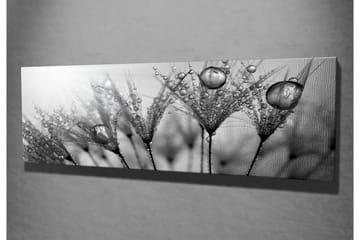 Canvasbilde Dekorativ - Flerfarget - Interiør - Maleri & posters - Lerretsbilder